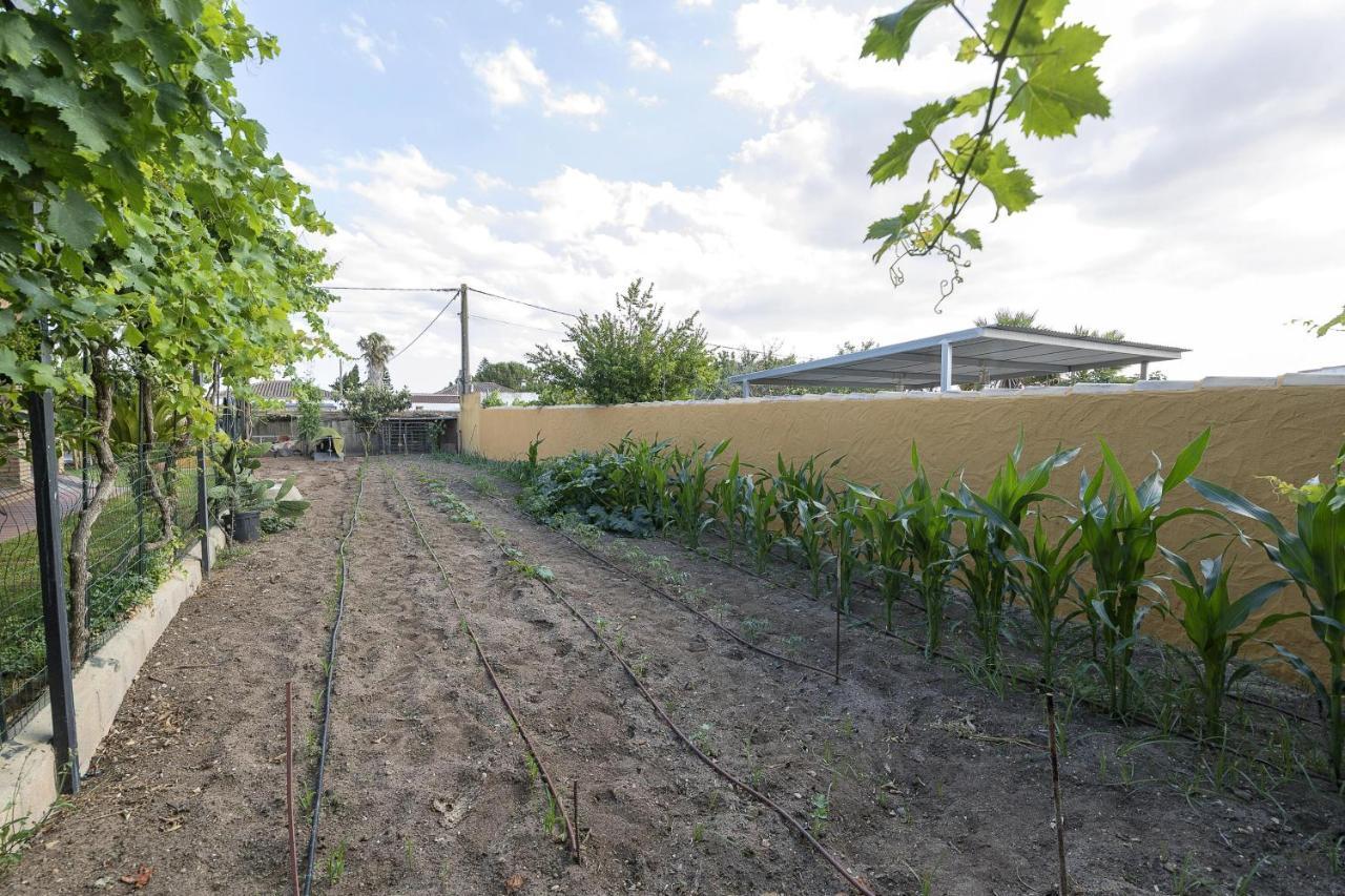 Rincon De La Huerta Villa Chiclana de la Frontera Ngoại thất bức ảnh